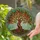 Gnarled Tree of Life Leaves Roots - Home Decor Gift Stained Glass Suncatcher - 2