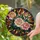 Tiffany Glass Roses Rosebuds Leaves Intricate Mosaic Geometric Shapes - Home Decor Gift Stained Glass Suncatcher - 2