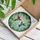 Sun-Dappled Garden Hummingbirds Flowering Vines Window Decor Gift for Bird Lovers Stained Glass Suncatcher - 3