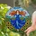 Tiffany Glass Translucent Woman Sunflower Field Rolling Hills - Home Decor Gift Stained Glass Suncatcher - 2