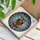 Raccoon Holding Single Red Rose Stained Glass Mosaic - Wildlife Lover Home Decor Gift Stained Glass Suncatcher - 3