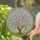 Translucent Tiffany Glass Apple Blossom Tree Pink White Flowers Mosaic Sky Home Decor Gift Stained Glass Suncatcher - 2