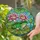 Green Frog Lily Pad Water Lilies Pond Scene - Home Decor Gift for Frog Lover Stained Glass Suncatcher - 2