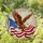 Majestic Tiffany Stained Glass Bald Eagle American Flag - Patriotic Home Decor Gift for American Homes Stained Glass Suncatcher - 1