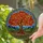 Autumn Tree Wildflower Birds Landscape - Home Decor Gift for Nature Lover Stained Glass Suncatcher - 2