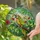 Tropical Parrot Jungle Foliage - Home Decor Gift for Wildlife Lover Stained Glass Suncatcher - 2