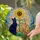 Black Cat Amber Tabby Sunflower - Home Decor Gift for Cat Lover Stained Glass Suncatcher - 2