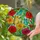 Three Butterflies Tropical Hibiscus Flowers Green Foliage Home Decor Gift for Wildlife Lover Stained Glass Suncatcher - 2