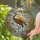 Two Wading Birds Marshland Flora Water Ripples Reeds - Home Decor Wildlife Lover Gift Stained Glass Suncatcher - 2