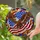 Bald Eagle American Flag Independence Day - Patriotic Home Decor Gift Stained Glass Suncatcher - 2