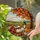 Autumn Harvest Book Pumpkin Lantern - Fall Home Decor Gift Stained Glass Suncatcher - 2