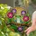 Green Tree Frog on Branch Magenta Violet Flowers - Wildlife Home Decor Stained Glass Suncatcher - 2
