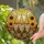 Three Gnomes Striped Hats Sunflowers Autumn Foliage - Fall Season Home Decor Gift Stained Glass Suncatcher - 2