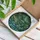Alligator Lush Swamp Vegetation Rippling Water Scene Wildlife Lover Home Decor Gift Stained Glass Suncatcher - 3