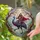 Samurai Warrior Riding Emu Bird Sakura Cherry Blossoms Rolling Hills Mountains - Home Decor Gift for Him Stained Glass Suncatcher - 2