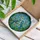Blue Birds Intertwining Tree Branch Stained Glass Mosaic - Home Decor Gift for Bird Lover Stained Glass Suncatcher - 3