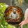 Male Chef Cooking Grilled Foods Vegetables - Rustic Home Kitchen Decor Gift for Chef Stained Glass Suncatcher - 2