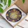 Teardrop Crystal Prism Golden Moon Cosmic Starlight - Stargazer Home Decor Gift Stained Glass Suncatcher - 3