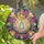 Teardrop Crystal Prism Golden Moon Cosmic Starlight - Stargazer Home Decor Gift Stained Glass Suncatcher - 2