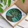 Ancient Bonsai Tree Sprawling Branches Gnarled Trunk Textured Rocks - Everyday Home Decor Stained Glass Suncatcher - 3