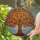 Majestic Tree Trunk Branches Brightly Colored Leaves Luminous Swirling Sky - Nature Lover Home Decor Gift Stained Glass Suncatcher - 2