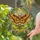 Ornate Atlas Luna Moths Botanical Foliage - Wildlife Lover Home Decor Gift Stained Glass Suncatcher - 2