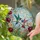 Hummingbirds Bloomed Flowers Green Leaves Swirling Sky Jewel Tone Home Decor Gift Stained Glass Suncatcher - 2