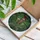 Carnivorous Pitcher Plants Tropical Jungle - Home Decor Gift for Plant Lover Stained Glass Suncatcher - 3