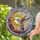 Hummingbird Crescent Moon Sunburst Floral Sky - Wildlife Home Decor Gift for Hummingbird Lover Stained Glass Suncatcher - 2