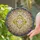 Gold Abstract Concentric Rings Crystal Sphere Swirling Light - Home Decor Gift Stained Glass Suncatcher - 2