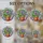 Purple Pansy Flowers Terracotta Pot Green Leaves - Home Decor Gift Stained Glass Suncatcher - 4
