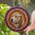 Textured Resolute Pitbull Dog Head Stained Glass Sunburst - Home Decor Gift for Any Dog Lover Stained Glass Suncatcher - 2