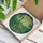 Sauropod Dinosaur Prehistoric Jungle Radiating Sun - Home Decor Gift for Dinosaur Fan Stained Glass Suncatcher - 3