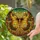 Tiffany Glass Butterfly Filigree Mosaic Jewel Tones Home Decor Gift for Butterfly Lover Stained Glass Suncatcher - 2
