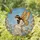 Fairy Woman Golden Wings Floral Stained Glass - Home Decor Gift for Fantasy Lover Stained Glass Suncatcher - 1