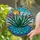 Agave Plant Golden Charm Rosette Desert Landscape Mountains Radiant Sun - Home Decor Gift Stained Glass Suncatcher - 2