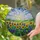 Sunflowers Bluebonnets Rolling Hills Cloudy Sky - Nature Lover Home Decor Gift Stained Glass Suncatcher - 2