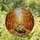 Bright Yellow School Bus Autumn Road Forest Canopy Fallen Leaves - Autumn Home Decor Gift Stained Glass Suncatcher - 1