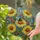 Fuzzy Bumblebee Yellow Daisy Flowers Berries Home Decor Gift for Wildlife Lovers Stained Glass Suncatcher - 2