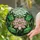 Pink White Layered Lotus Flower Green Leaves Foliage Sky - Home Decor Gift for Flower Lover Stained Glass Suncatcher - 2