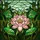 Pink White Layered Lotus Flower Green Leaves Foliage Sky - Home Decor Gift for Flower Lover Stained Glass Suncatcher - 5