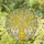 Golden Faceted Vase Delicate Flowering Branches Floral Mosaic - Home Decor Gift Stained Glass Suncatcher - 1