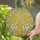 Golden Faceted Vase Delicate Flowering Branches Floral Mosaic - Home Decor Gift Stained Glass Suncatcher - 2