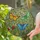 Monarch Luna Morpho Butterfly Stained Glass Garden - Home Decor Gift for Insect Lover Stained Glass Suncatcher - 2