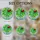 Ladybug Four Leaf Clover Luminous Home Decor Gift for Nature Lover Stained Glass Suncatcher - 4