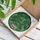 Stained Glass Monstera Adansonii Plant Organic Botanical Mosaic Home Decor Gift Stained Glass Suncatcher - 3