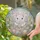 Fluffy Baby Bunny Bright Blue Eyes Broken Easter Egg Spring Garden - Easter Holiday Decor Stained Glass Suncatcher - 2