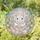 Fluffy Baby Bunny Bright Blue Eyes Broken Easter Egg Spring Garden - Easter Holiday Decor Stained Glass Suncatcher - 1