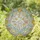 Symmetrical Celestial Botanical Suns Moon Lotus Butterfly Crystal Window Decor Stained Glass Suncatcher - 1
