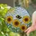 Bumblebee Sunflower Stained Glass Sunburst - Bee Lover Home Decor Gift Stained Glass Suncatcher - 2